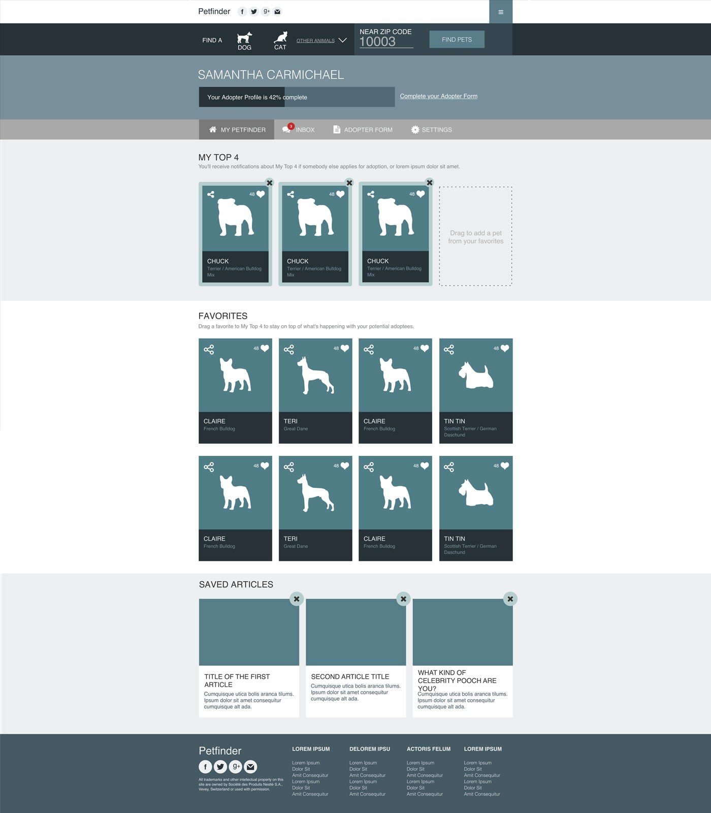 Consumer search interface